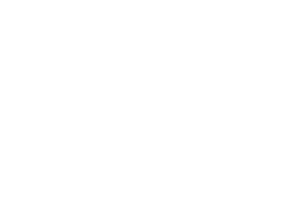 Accountability.Fish
